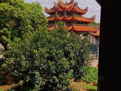 -仙岳公园