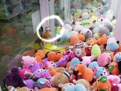 -香港麦道(毅腾商都店)