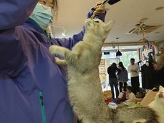 -平行世界·猫咖(首经贸店)