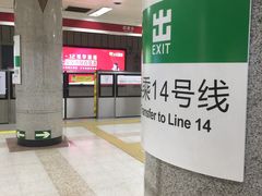 -大望路(地铁站)