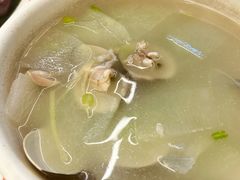 沙白冬瓜汤-东江海鲜大排档·潮汕菜·砂锅粥