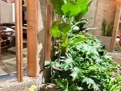 -园里火锅(仁和新城店)