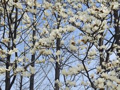 -外高桥保税区南(地铁站)