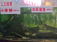 -楚鱼王·河鲜·湖北菜(华农店)