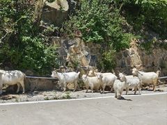 -白草畔自然风景区