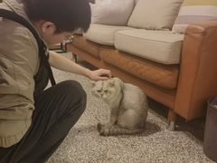 -她说户外烧烤团建(西湖店)
