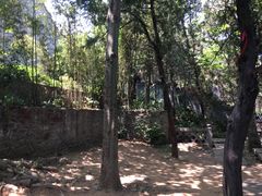-浮来山风景区