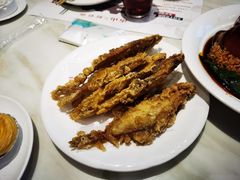 -南山鲜虾面·活鲜小馆·海味大连菜(南山总店)