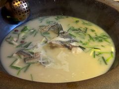 -咕嘟草帽鱼·牛奶一样的鲜鱼汤(天鹅湖万达广场店)