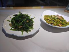 -鸽小宝(深圳首店)