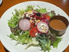 田园时蔬沙拉沙拉-布拉格餐厅· 中欧捷克菜(全国首店)