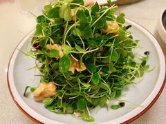 -孙记驴肉山庄(李桥店)