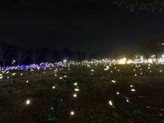 -云幽谷旅游区