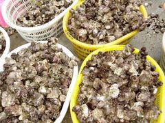 -浪琴湾尾角仔海鲜坊