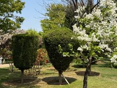 -黑石礁公园