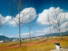 -腾冲国萍农家乐