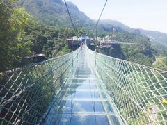 -梦幻奥陶纪景区