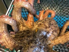 -台州卡金海鲜楼(上南路店)