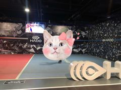 -VS SPORTS PARK运动玩乐园·团建·生日会(合生汇店)