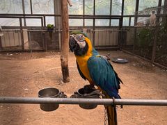 -南宫五洲植物乐园