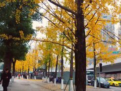 -高庙村(地铁站)