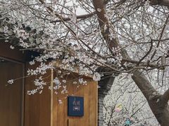 -春风习习
