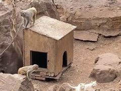 -昆明动物园