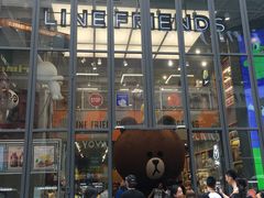-line friends(明洞旗舰店)
