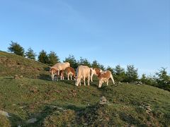 -五台山风景区
