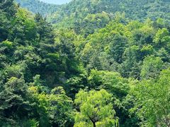 -泰山风景名胜区