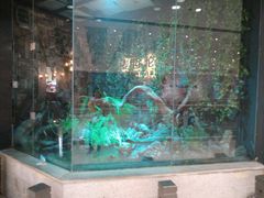 -甄品麦哲伦海鲜和牛自助(万达广场店)