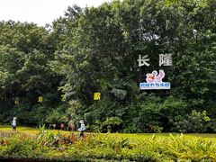 -广州长隆飞鸟乐园