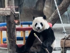 -武汉动物园