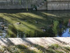 -元大都城垣遗址公园