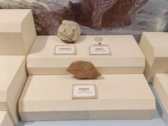 -辽宁古生物博物馆