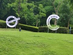 -成都蒲江花样年福朋喜来登度假酒店·宜客乐西餐厅