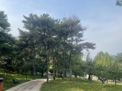 -元大都城垣遗址公园