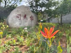 -蟠龙山长城景区