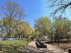 -长白岛森林公园