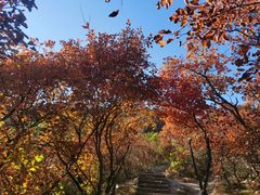 -周口店坡峰岭风景区