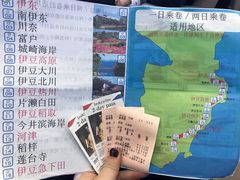 -伊豆观海列车