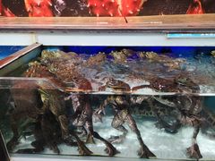 牛蛙-盒马鲜生(红莲店)