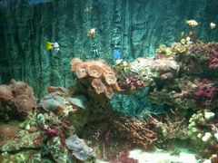 -北戴河圣蓝海洋公园