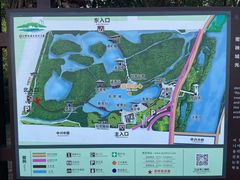 -大亚湾红树林城市湿地公园