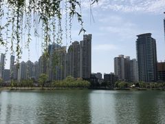 -西北湖绿化广场