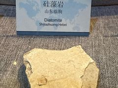 -烟台市博物馆