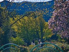 -国家植物园南园