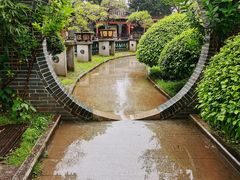 -碧江金楼