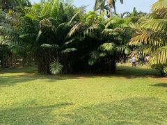 -中国科学院西双版纳热带植物园