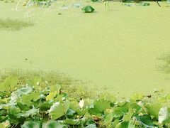 -金华站